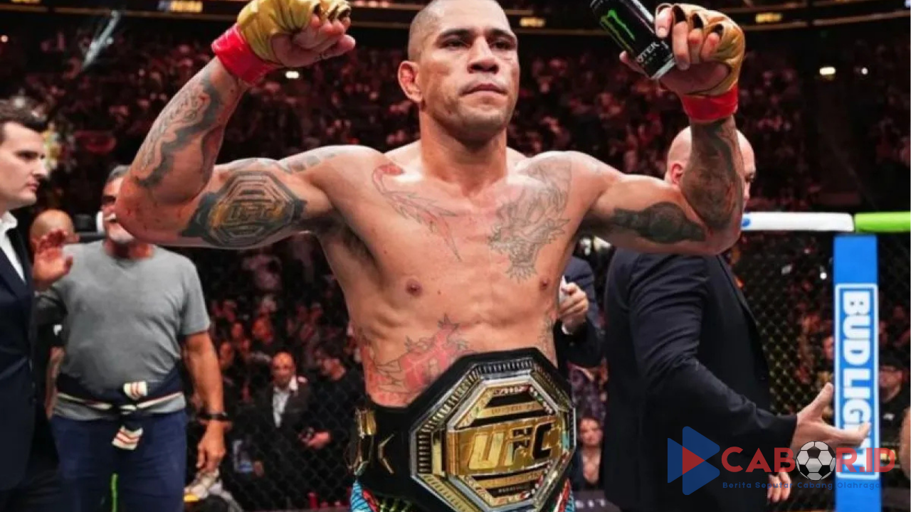 UFC Umumkan Alex Pereira Tanding Lawan Magomedov Ankalaev Pada Laga Utama UFC 313